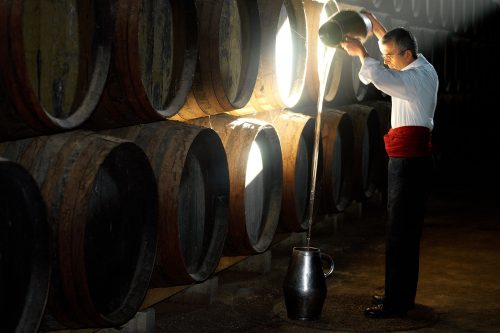 Experiencia luz, sonido y vinos