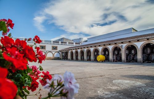Visita guiada a la Bodega + cata de 5 vinos